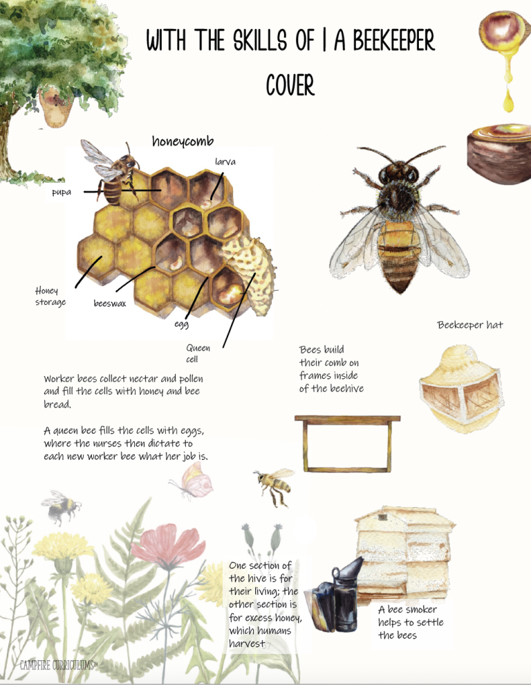 Through the Eyes of a Bee & With the Skills of a Beekeeper (DIGITAL PDF)