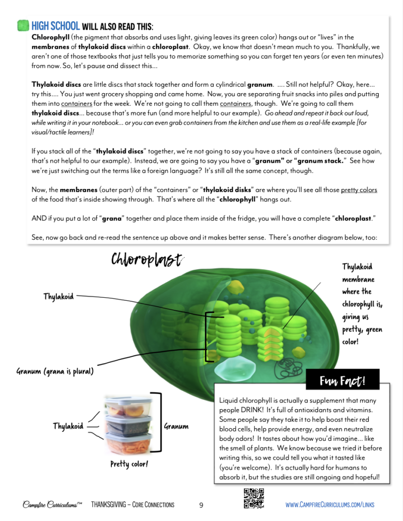 In The Season Of | Thanksgiving (Full Digital Unit) - Campfire Curriculums