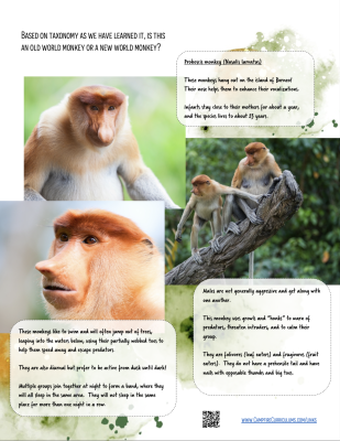 Through the Eyes of A Zoologist (DIGITAL PDF)