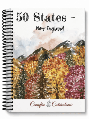 50 States - New England (Digital)