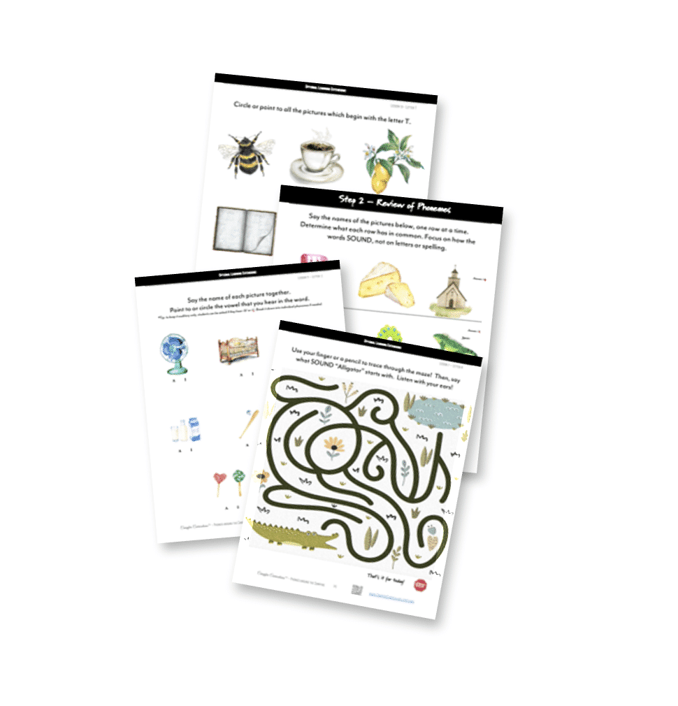 Sample lesson page